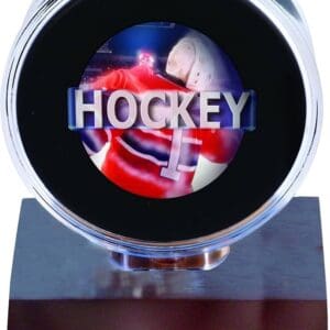 Hockey puck with player on base.