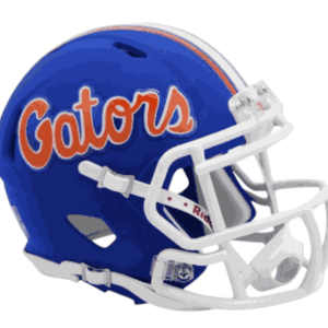 Florida Gators mini football helmet