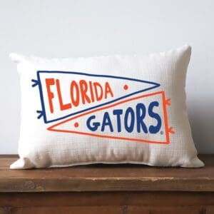 Florida Double Pennant Pillow